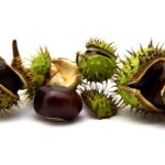 Kelezatan Dadar Beredar Tambun yang Menghiasi Meja Makan