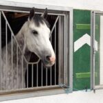 Membongkar Rahasia Kelezatan Dadar Beredar Tambun